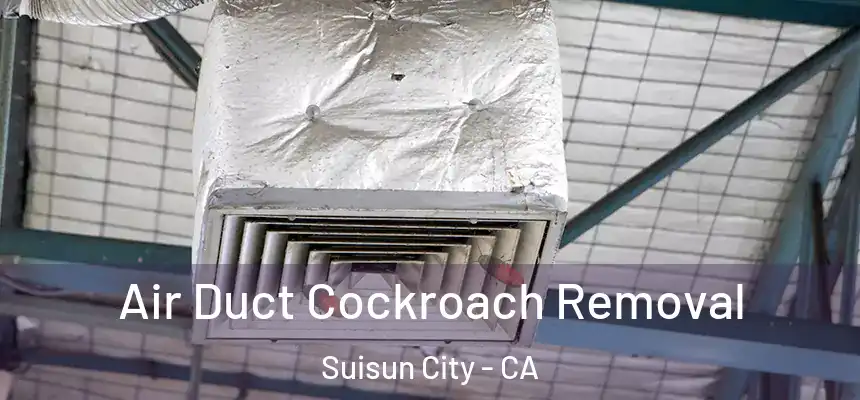 Air Duct Cockroach Removal Suisun City - CA
