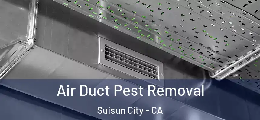 Air Duct Pest Removal Suisun City - CA