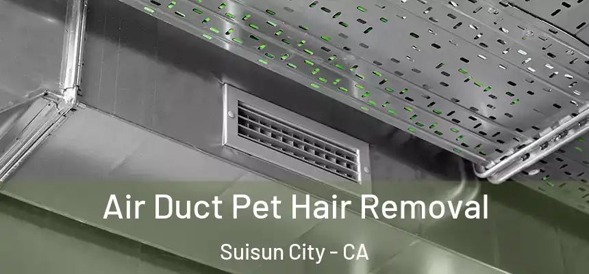 Air Duct Pet Hair Removal Suisun City - CA