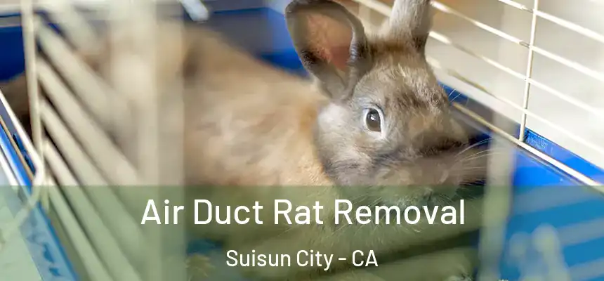 Air Duct Rat Removal Suisun City - CA