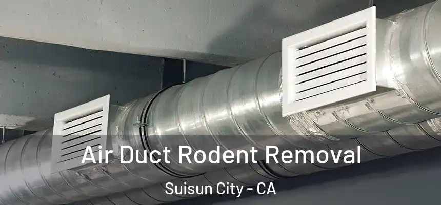  Air Duct Rodent Removal Suisun City - CA