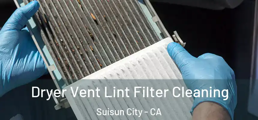 Dryer Vent Lint Filter Cleaning Suisun City - CA