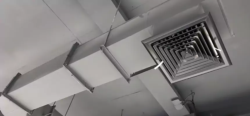 Our Pest Removal From Ducts Services in Suisun City, CA