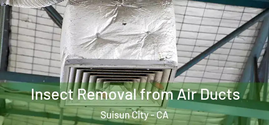 Insect Removal from Air Ducts Suisun City - CA