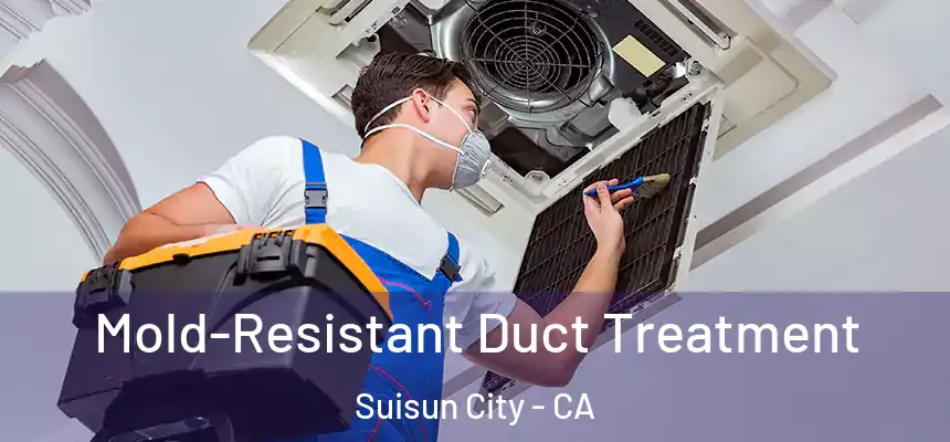 Mold-Resistant Duct Treatment Suisun City - CA