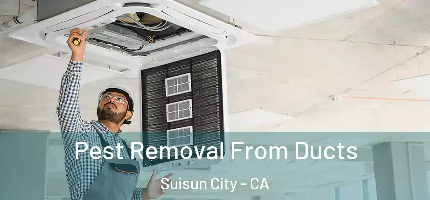  Pest Removal From Ducts Suisun City - CA