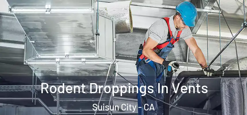  Rodent Droppings In Vents Suisun City - CA