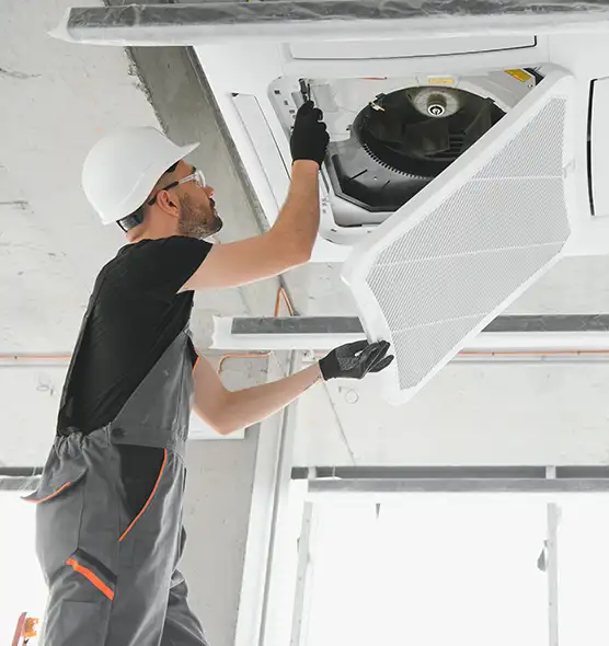 About Air Duct Rodent Removal in Suisun City, CA