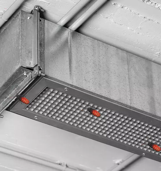 Affordable Insect Removal from Air Ducts in Suisun City, CA