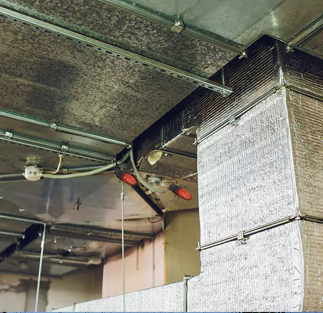 Why Homeowners & Businesses Trust Us in Suisun City, CA?