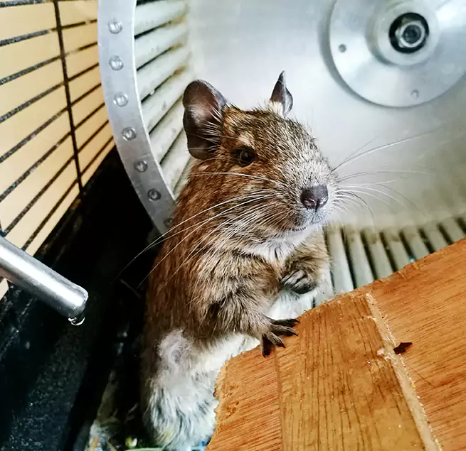 Why Homeowners & Businesses Trust Us Suisun City, CA