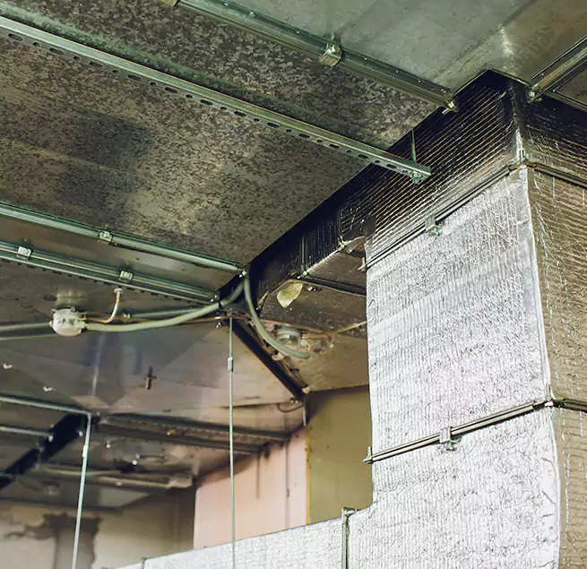 Why Homeowners & Businesses Trust Us in Suisun City, CA?